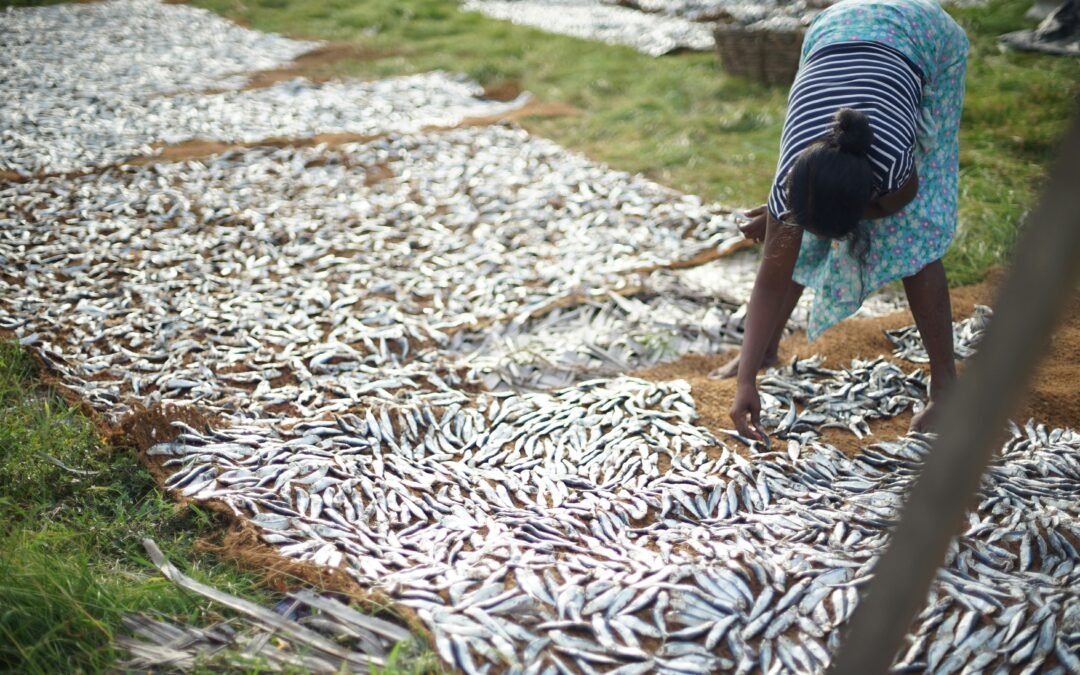 Durba Agro-Aquaculture Project